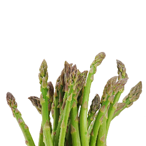 Asperges